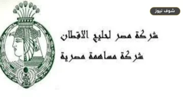طرح مصر لحليج الأقطان في البورصة الأسبوع المقبل ضمن برنامج الطروحات الحكومية