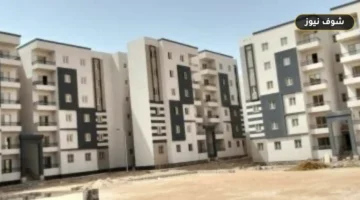 وثيقة تأمين سند الملكية العقارية تضمن حقوق المشترين وتدعم الاستثمار العقاري في مصر