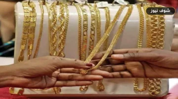 أسعار الذهب في مصر اليوم 5 يوليو 2026: استقرار محلي وترقب عالمي