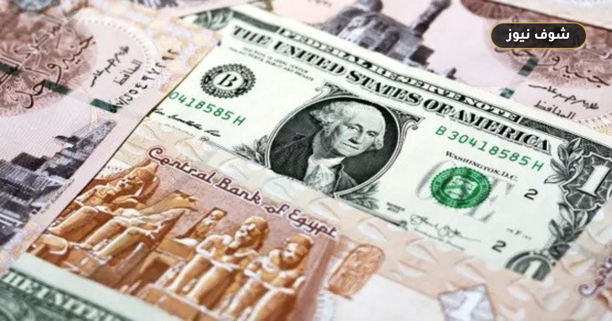 «استقرار حذر» سعر الدولار اليوم الجمعة 10 يوليو 2026 في مصر بالبنوك