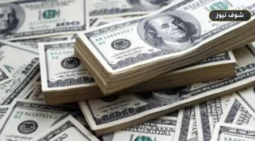 استقرار سعر الدولار مقابل الجنيه: تحديثات البنوك المصرية الأربعاء 29 يوليو 2026