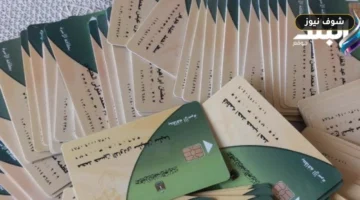 خطوات تقديم تظلم بطاقة التموين وإعادة الدعم «بعد الإيقاف المؤقت»