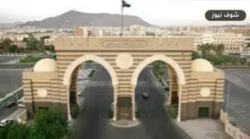 بوابة قبول الجامعة الإسلامية بالمدينة المنورة 1448: التخصصات وموعد التقديم