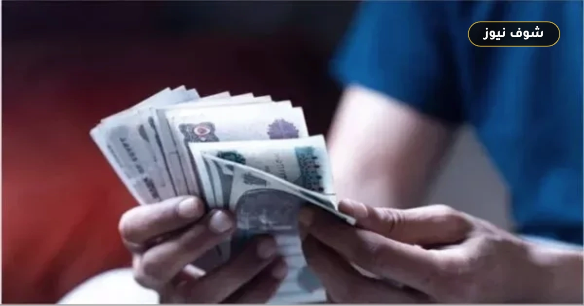 دخل شهري ثابت | أعلى شهادات الادخار في البنوك المصرية للأفراد بعوائد تصل 19.5%