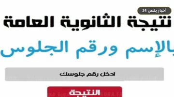 رابط نتيجة الثانوية العامة 2026 برقم الجلوس: الاعتماد الرسمي في الحادية عشرة مساءً