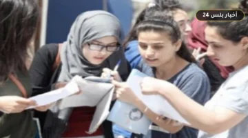 رابط صحيح… نتيجة الثانوية العامة 2026 وتحدد وزارة التربية والتعليم خطوات الاستعلام برقم الجلوس