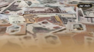 أعلى 5 شهادات ادخار في البنوك المصرية بعد قرار المركزي | ملاذ السيولة الآمن