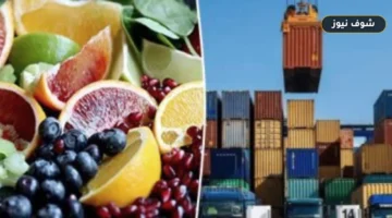 صادرات مصر إلى أفريقيا 2025: خريطة الأسواق الرابحة وفائض تجاري يتجاوز 5.7 مليار دولار
