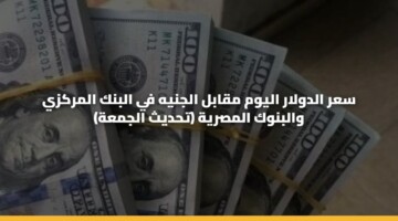 سعر الدولار اليوم مقابل الجنيه في البنك المركزي والبنوك المصرية (تحديث الجمعة)