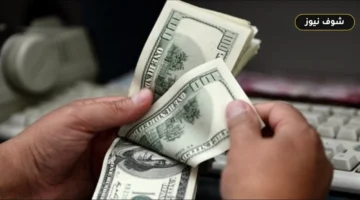 سعر الدولار بمكاتب الصرافة اليوم السبت 11 يوليو 2026 «ثبات بجميع البنوك»