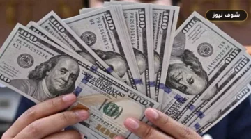 سعر الدولار مقابل الجنيه المصري اليوم الأحد 5 يوليو 2026 في البنوك