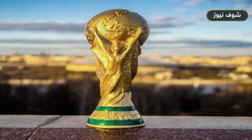 صراع اللقب الثاني والرابع | سجل أبطال كأس العالم قبل نهائي إسبانيا والأرجنتين