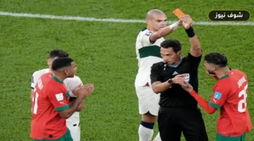 طارد النجوم يعود | من هو حكم مباراة المغرب وفرنسا صاحب الـ 10 بطاقات حمراء؟