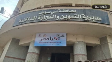 «تموين بني سويف» يضرب المخالفين.. تفاصيل تحرير 325 محضرا بالأسواق