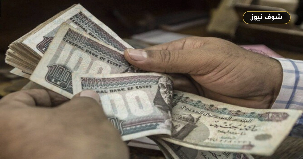 توقعات أسعار الفائدة في البنك المركزي المصري حتى نهاية 2026 | قرار التثبيت الحرج 5 توقعات أسعار الفائدة في البنك المركزي المصري حتى نهاية 2026 | قرار التثبيت الحرج
