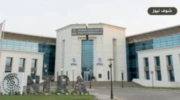 الجهاز القومي لتنظيم الاتصالات يتلقى 141 ألف شكوى في النصف الأول من 2026 ويرد 672 ألف جنيه للمستخدمين