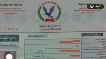 استخراج الفيش والتشبيه أون لاين: خطوات التقديم وشرط الـ 15 يوماً للبصمات العشرية