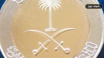 استقر سعر الريال السعودي اليوم في مصر الجمعة 21 أغسطس 2026.. المركزي يسجل 13.53 جنيه للشراء