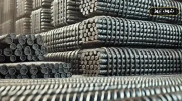 سعر الحديد اليوم الأحد 30 أغسطس 2026.. كم سجل طن حديد السويس؟