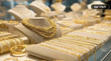 عيار 21 الآن.. سعر الذهب اليوم السبت 22 أغسطس 2026 في مصر