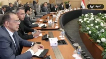 بقرار وزاري عاجل.. استبدال العدادات المعطلة خلال 72 ساعة وتقسيط المديونيات بوزارة الكهرباء