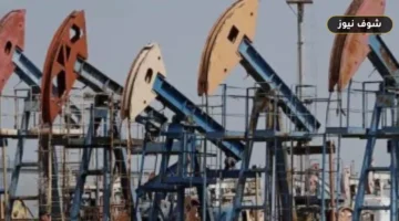 برنت عند 86.10 دولار.. تراجع أسعار النفط عالمياً وسط ضغوط المعروض وبيانات “البترول المصرية”