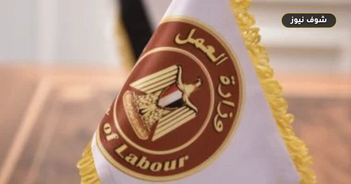 برقم الهاتف.. وزارة العمل تعلن وظائف تعليمية وإدارية في قنا الجديدة حتى سن 55 عاماً 5 برقم الهاتف.. وزارة العمل تعلن وظائف تعليمية وإدارية في قنا الجديدة حتى سن 55 عاماً
