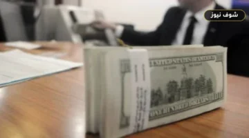 سعر الدولار في البنك المركزي والبنوك المصرية اليوم الإثنين 31 أغسطس 2026