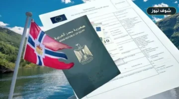 شروط الحصول على فيزا النرويج للمصريين وخطوات التقديم عبر VFS Global.. حساب النفقات اليومية والأوراق المطلوبة