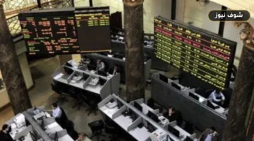 حصاد البورصة المصرية في أسبوع الـ 4 جلسات: قطاع المقاولات يقفز 7% والتعليم يتراجع 6.2%