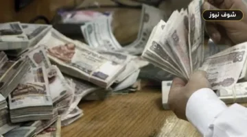 جدول مرتبات سبتمبر 2026 بعد الزيادة وموعد الصرف الرسمي للموظفين