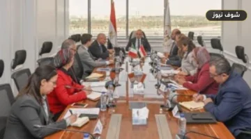 مباحثات مصرية إيطالية لتوسيع الاستثمارات: رخصة ذهبية لـ «كالزيدونيا» ومناطق صناعية مخصصة قيد الدراسة