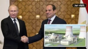 مصيدة قلب المفاعل ومقاومة التسونامي.. كيف تحقق محطة الضبعة أماناً بنسبة «صفر خطر»؟