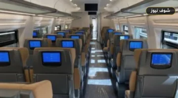 مواعيد قطارات تالجو اليومية على خطوط الإسكندرية وأسوان ومحطات الوقوف
