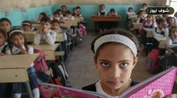 نظام تقييم الصفين الأول والثاني الابتدائي 2027: توزيع الدرجات وتفاصيل الاختبارات الشهرية الجديدة
