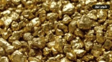 سعر الذهب اليوم الخميس 27 أغسطس 2026: عيار 21 يكسر حاجز 6500 جنيه بعد تراجعه 155 جنيهاً عن ذروة الأسبوع