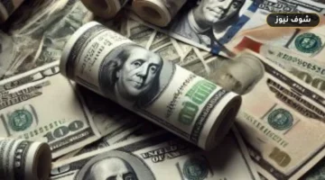 سعر الدولار اليوم الخميس 27-8-2026 أمام الجنيه: تطابق الأسعار في 5 بنوك رئيسية والمركزى يسجل 50.29 للبيع