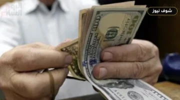 سعر الدولار اليوم السبت 29 أغسطس 2026 أمام الجنيه في البنك المركزي والبنوك المصرية