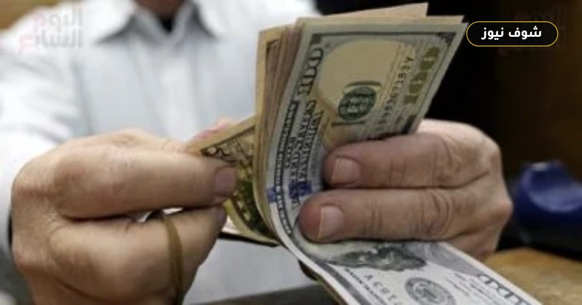 سعر الدولار اليوم السبت 29 أغسطس 2026 أمام الجنيه في البنك المركزي والبنوك المصرية