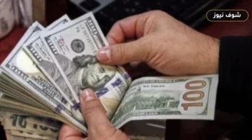 سعر الدولار أمام الجنيه اليوم السبت 29 أغسطس 2026: خريطة الأسعار في 8 بنوك مصرية