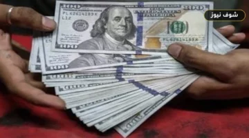 سعر الدولار مقابل الجنيه اليوم الإثنين 17 أغسطس 2026 في البنوك المصرية