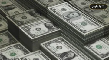 سعر الدولار في مصر اليوم الخميس 27 أغسطس 2026: استقرار التداولات تحت حاجز 51 جنيهاً في البنوك