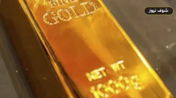 تحديث الصاغة: سعر الذهب عيار 14 اليوم الاثنين 3 أغسطس يسجل 3953 جنيهًا