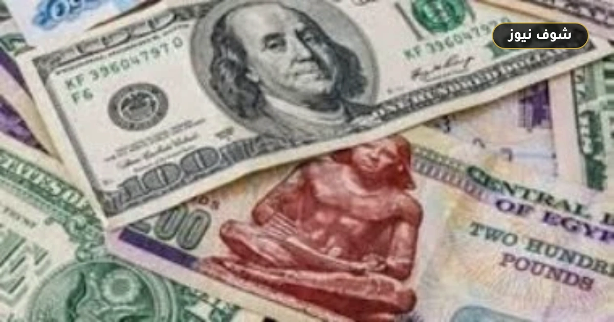 تراجع بـ 25 قرشاً.. سعر الدولار أمام الجنيه في نهاية تعاملات الأحد 30 أغسطس 2026 5 تراجع بـ 25 قرشاً.. سعر الدولار أمام الجنيه في نهاية تعاملات الأحد 30 أغسطس 2026