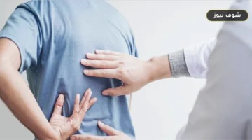 آلام الرقبة والظهر بسبب الكمبيوتر: إرشادات ضبط بيئة العمل والحركة اليومية