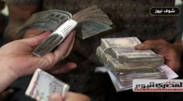أفضل شهادات الإدخار 2026 في البنوك وحساب أرباح الـ 100 ألف جنيه بعد قرار المركزي