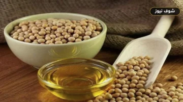 «احذري نقطة التدخين وتكرار القلي».. 7 ضوابط لاستخدام زيت الصويا في الطهي اليومي