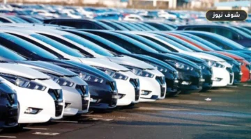 أخبار السيارات: تفاصيل طرح «بي واي دي أتو 2» عالمياً وقوة فورد موستنج ماك E وسوق المستعمل