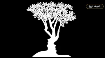 اختبار وهم بصري يكشف سمات شخصيتك: ماذا رأيت أولاً شجرة أم شخصين؟