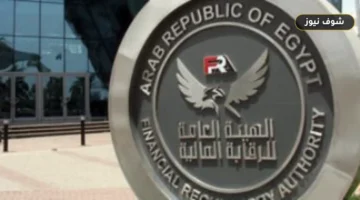 الهيكل التنظيمي لقطاع التأمين في مصر 2025: 39 شركة و177 كيانًا متنوعًا